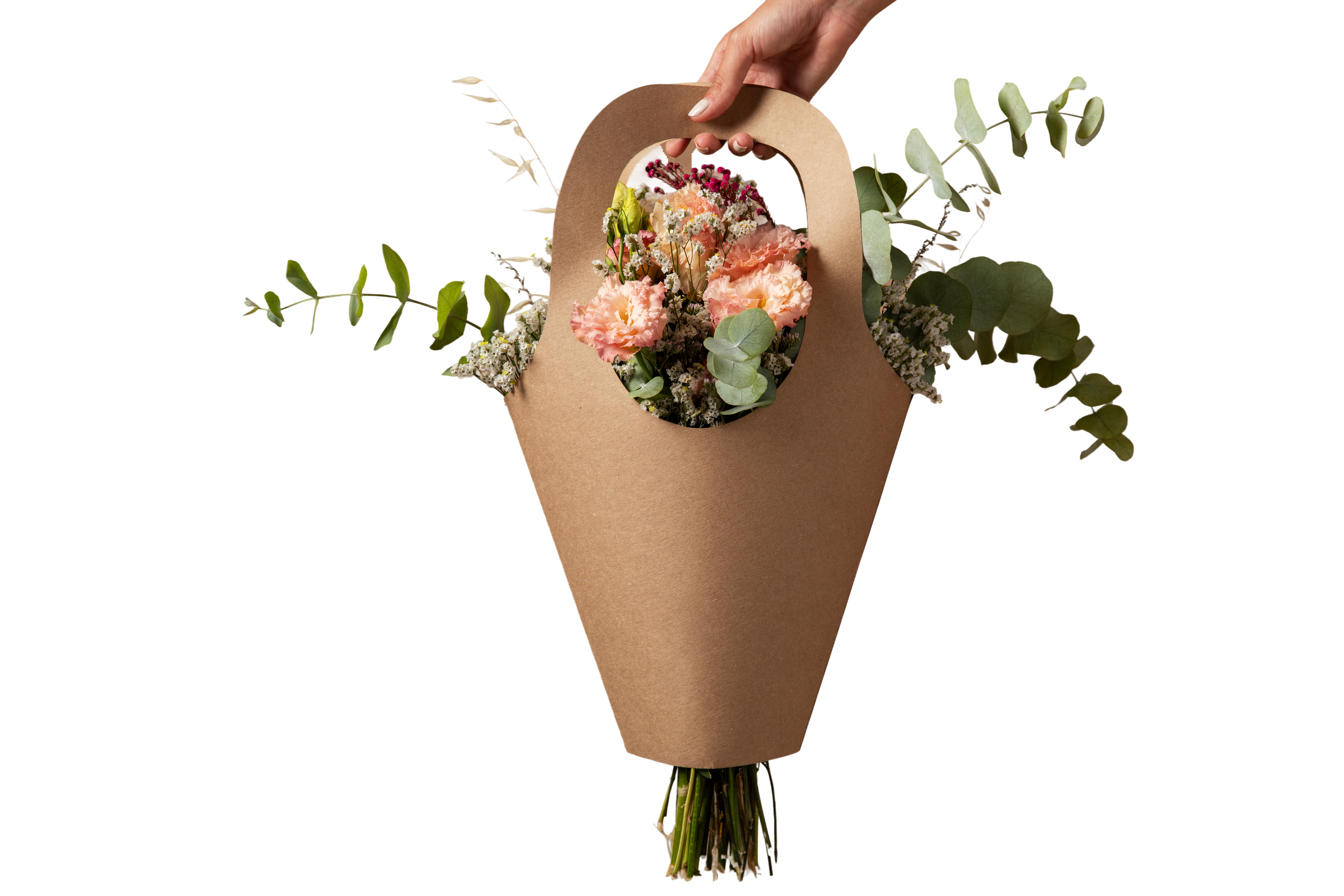 Flora